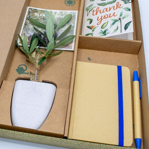 Trægave med notesbog - Bild 9